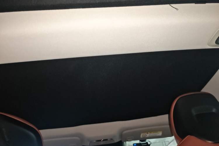 Used XPeng P7 2021 480E Headliner