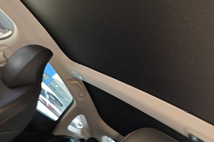 Used XPeng P7 2021 480N Headliner