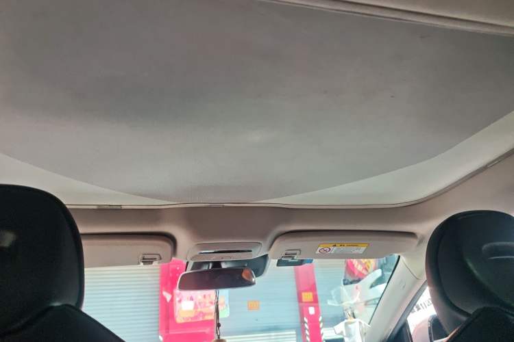 Used XPeng P7 2021 480N Headliner