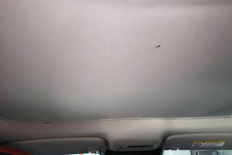 Used XPeng P7 2021 480N Headliner
