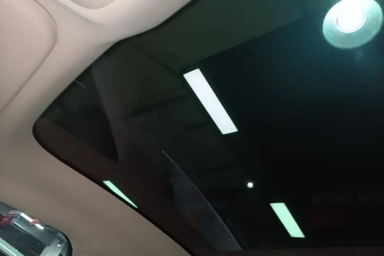Used XPeng P7 2021 480N Headliner
