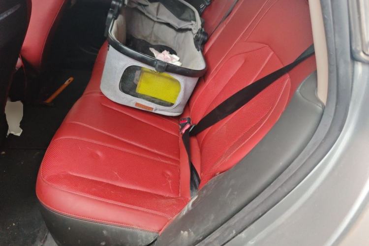 Used XPeng P7 2021 670G Left Rear Seat