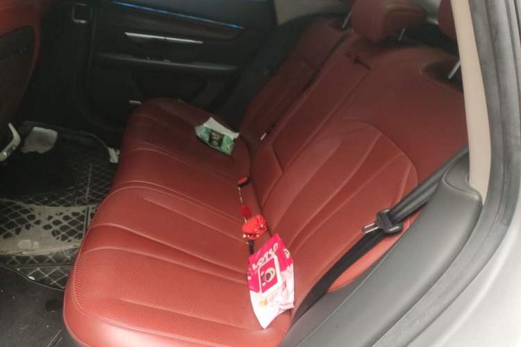 Used XPeng P7 2021 480N Left Rear Seat