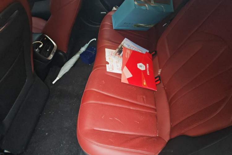 Used XPeng P7 2021 670G Left Rear Seat