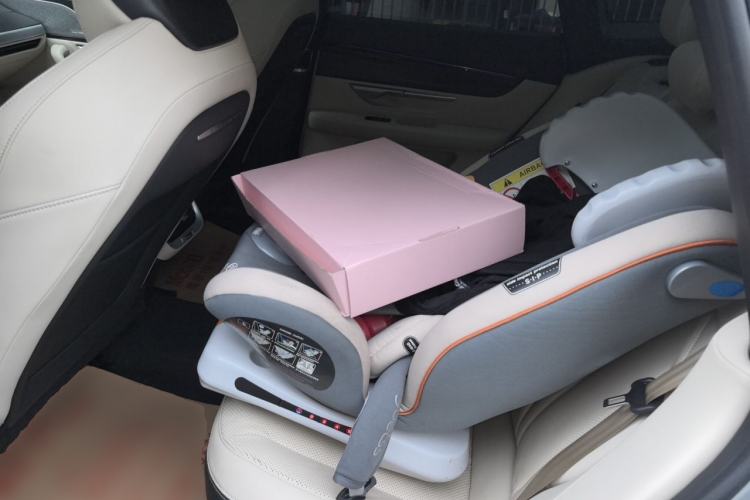 Used XPeng P7 2021 480N Left Rear Seat