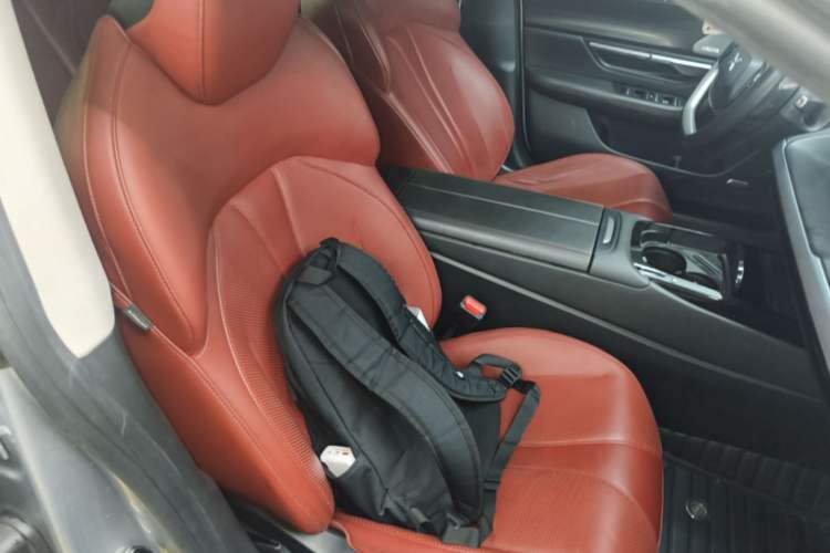 Used XPeng P7 2021 480N Right Front Seat