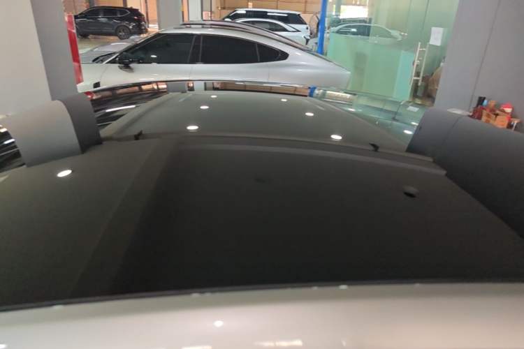 Used XPeng P7 2021 670G Roof