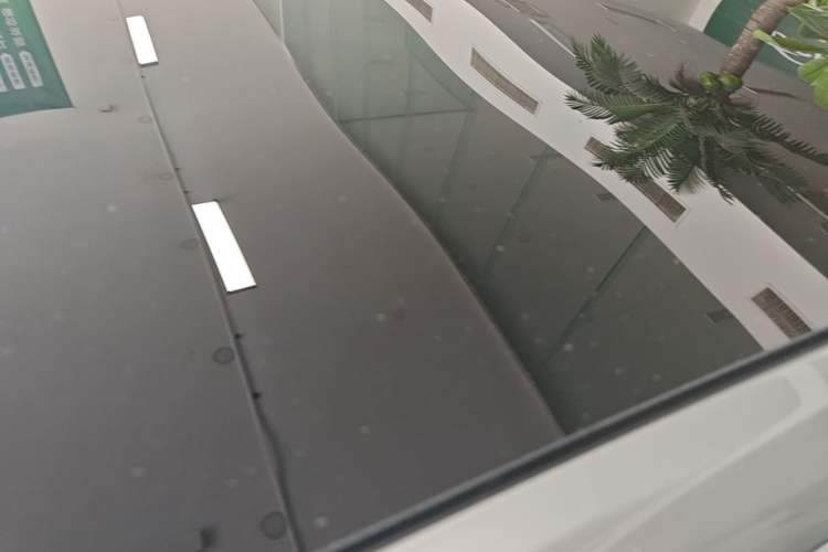 Used XPeng P7 2021 670G Roof