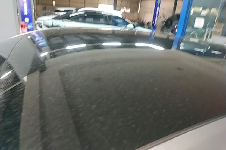 Used XPeng P7 2021 480N Roof