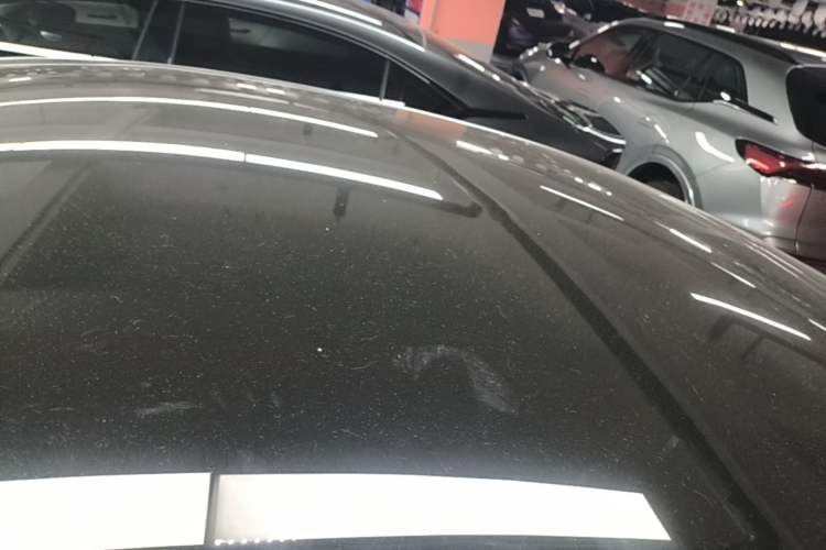 Used XPeng P7 2021 670G Roof