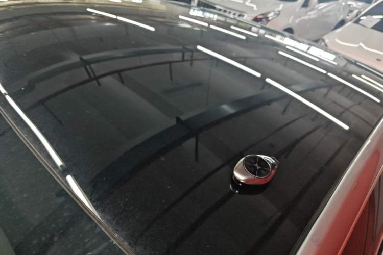 Used XPeng P7 2021 480E Roof