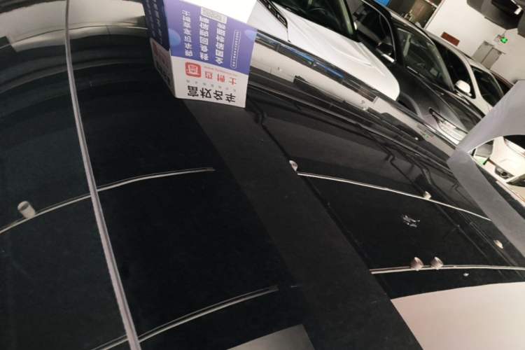 Used XPeng P7 2021 480N Roof