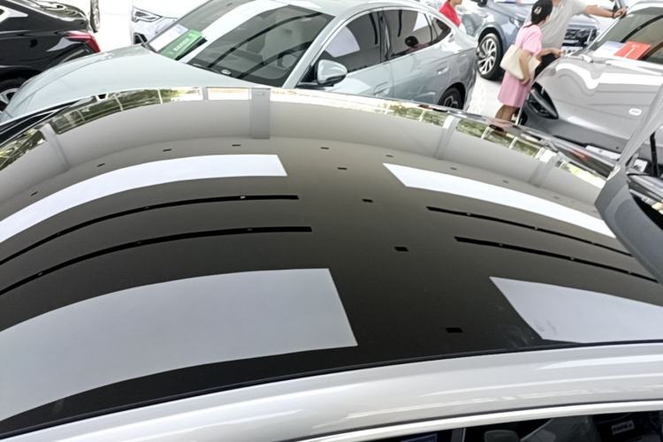 Used XPeng P7 2021 480N Roof