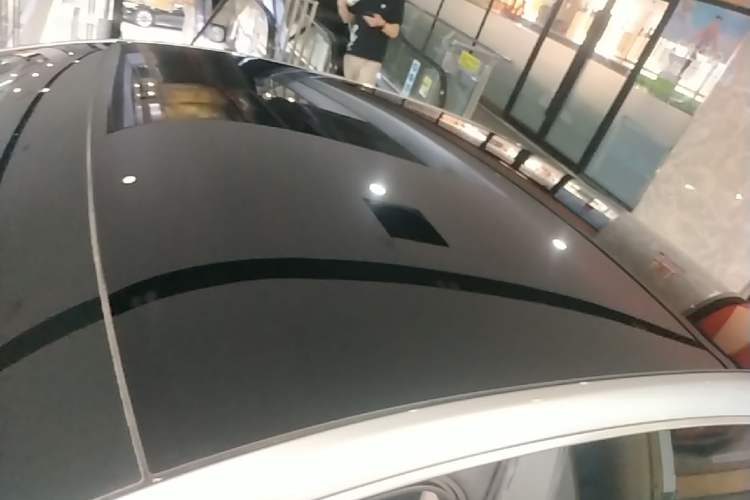 Used XPeng P7 2021 670G Roof