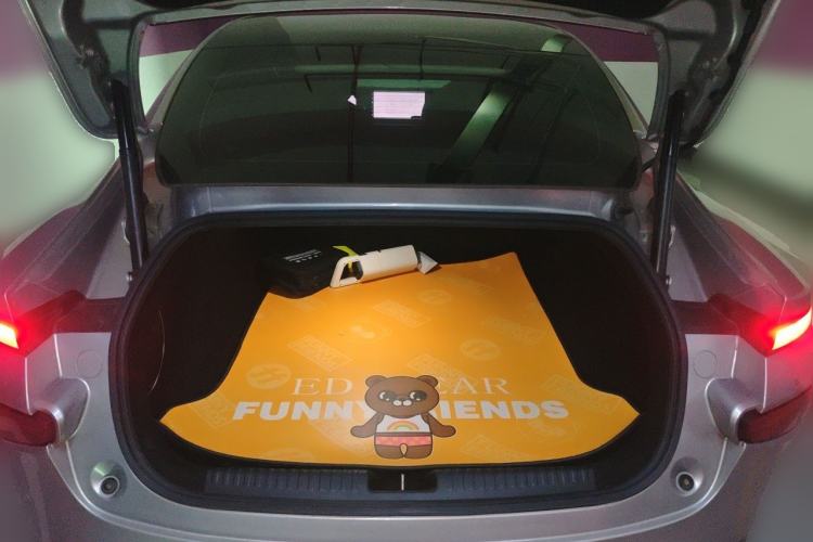 Used XPeng P7 2021 480N Trunk