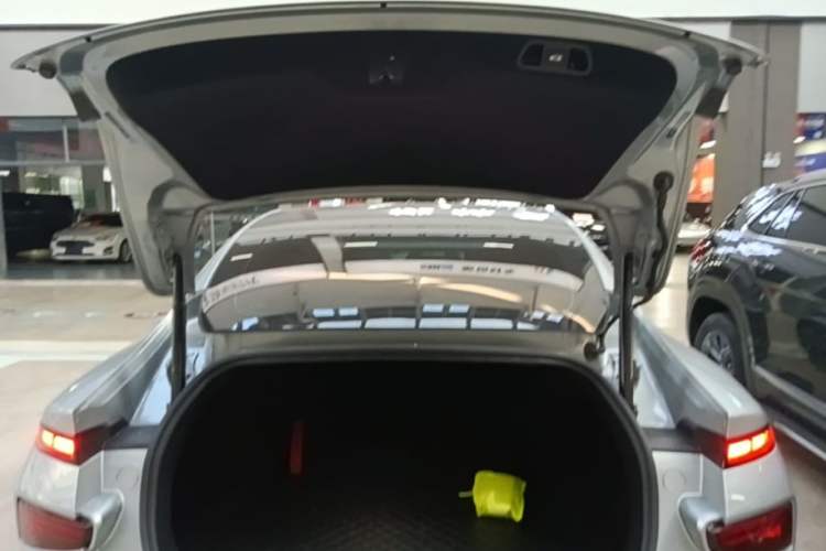 Used XPeng P7 2021 670G Trunk
