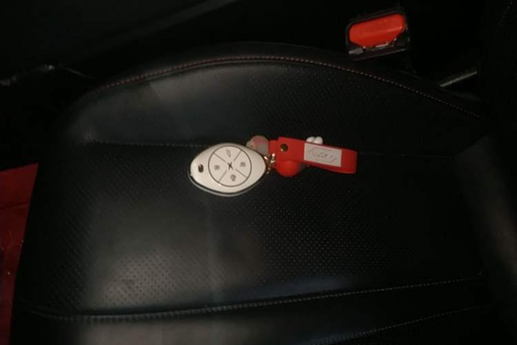 Used XPeng P7 2021 562E Pengyi Performance Edition Vehicle Key