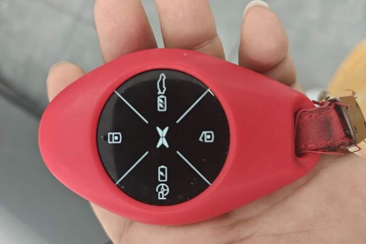 Used XPeng P7 2021 670G Vehicle Key