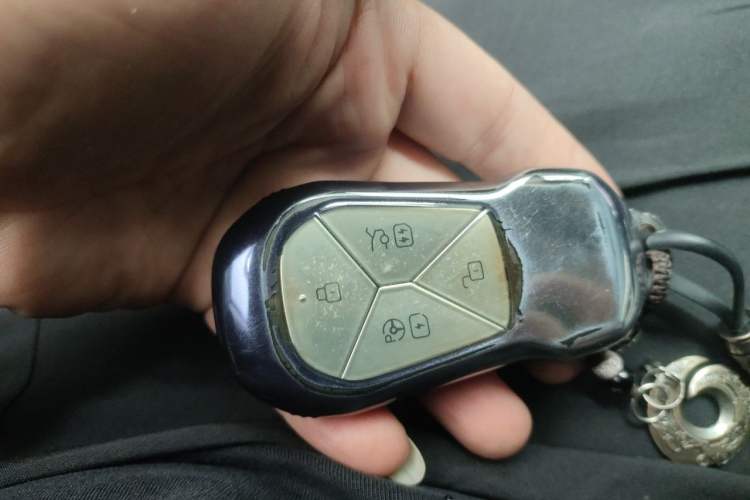 Used XPeng P7 2021 480N Vehicle Key