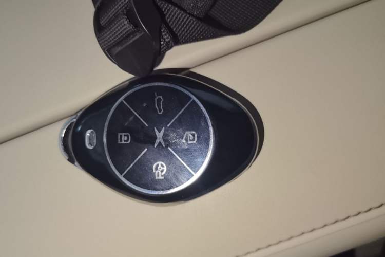 Used XPeng P7 2021 670G Vehicle Key
