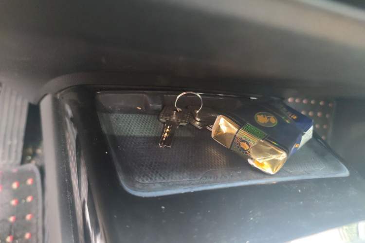Used XPeng P7 2021 670G Vehicle Key
