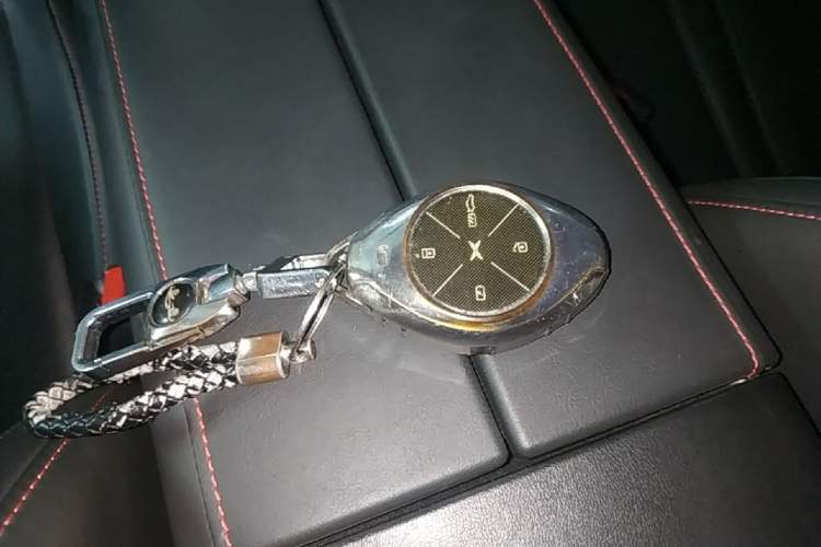 Used XPeng P7 2021 670G Vehicle Key