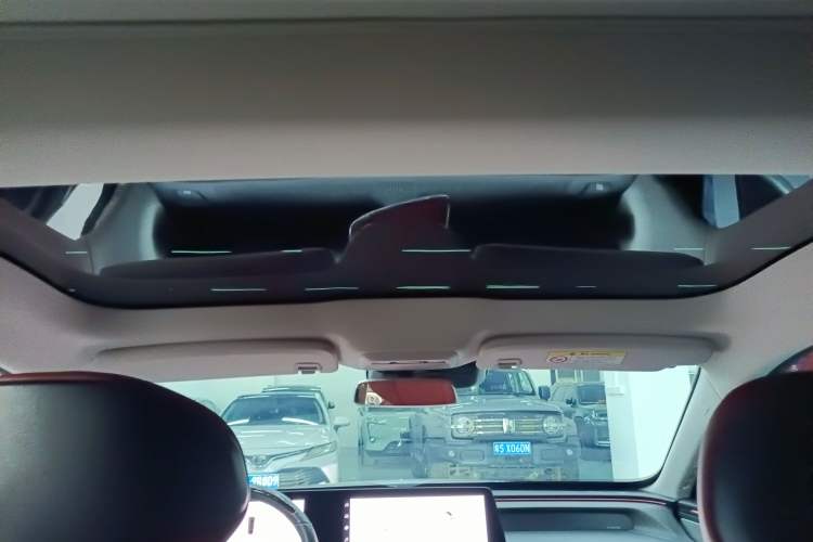 Used XPeng P7 2021 480N Headliner