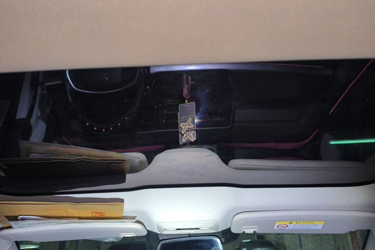 Used XPeng P7 2021 480E Headliner