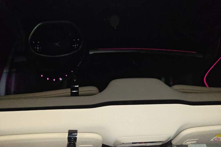 Used XPeng P7 2021 480E Headliner