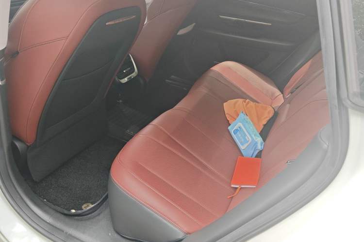 Used XPeng P7 2021 480E Left Rear Seat