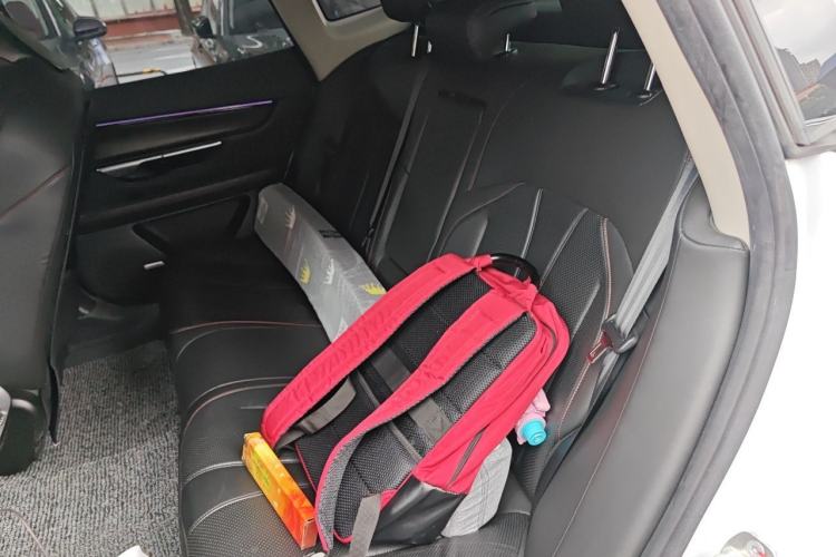 Used XPeng P7 2021 670G Left Rear Seat