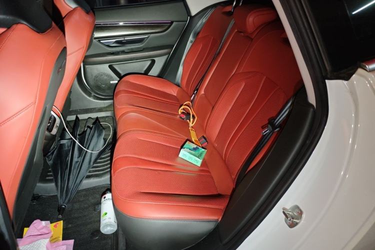 Used XPeng P7 2021 670G Left Rear Seat