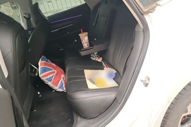 Used XPeng P7 2021 480N Left Rear Seat