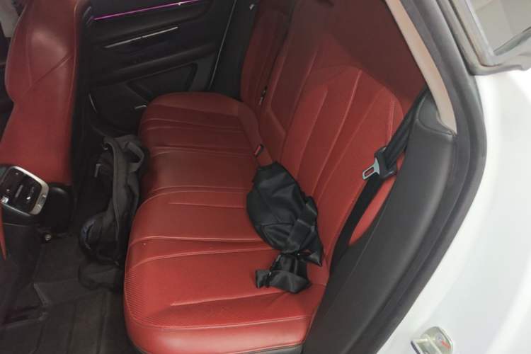Used XPeng P7 2021 480N Left Rear Seat