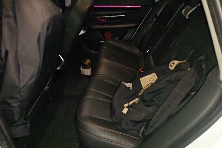 Used XPeng P7 2021 480E Left Rear Seat