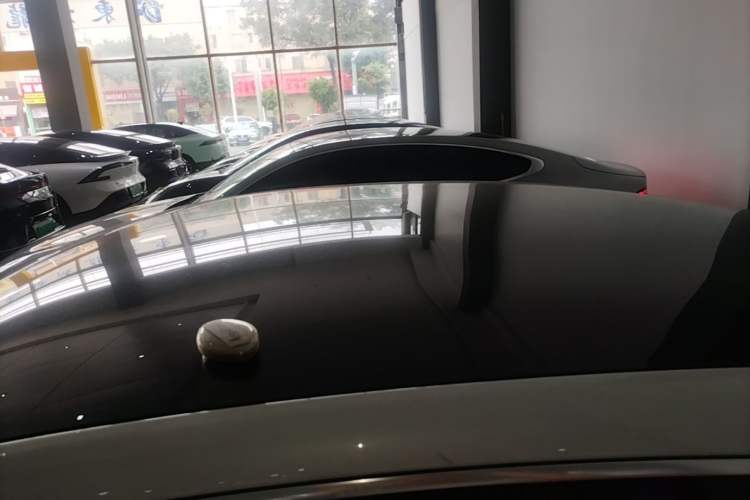Used XPeng P7 2021 480E Roof
