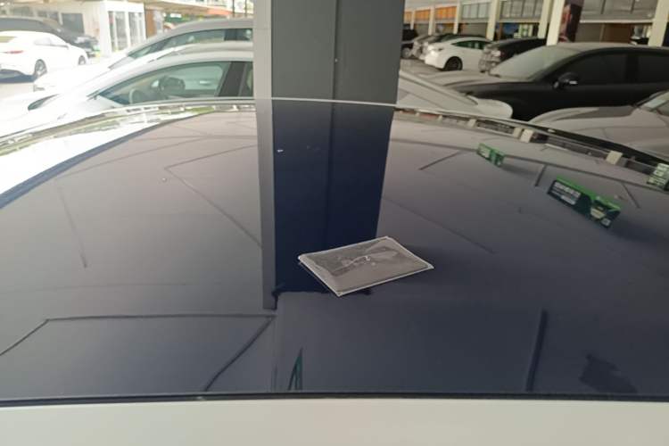 Used XPeng P7 2021 480N Roof