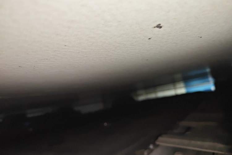 Used XPeng P7 2021 480N Chassis Rear Left