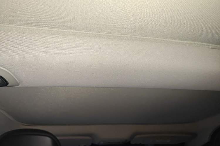Used XPeng P7 2021 480N Headliner