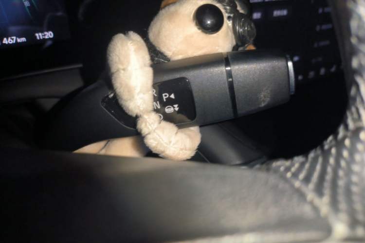 Used XPeng P7 2022 625E Gear Lever
