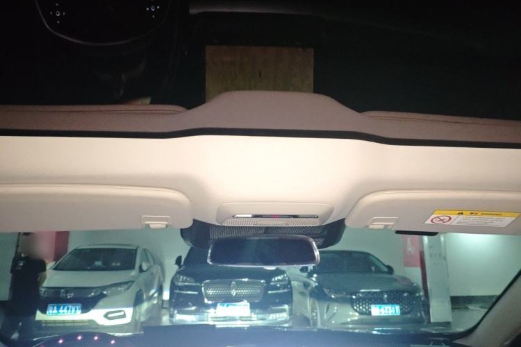 Used XPeng P7 2022 586E Headliner