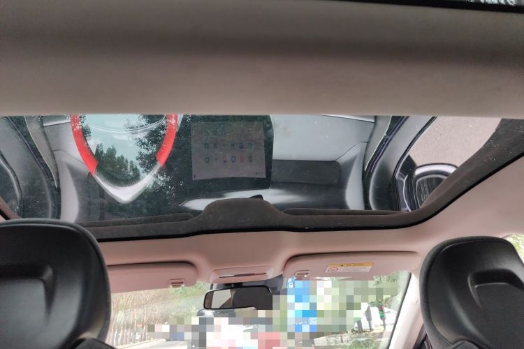 Used XPeng P7 2022 480E Headliner