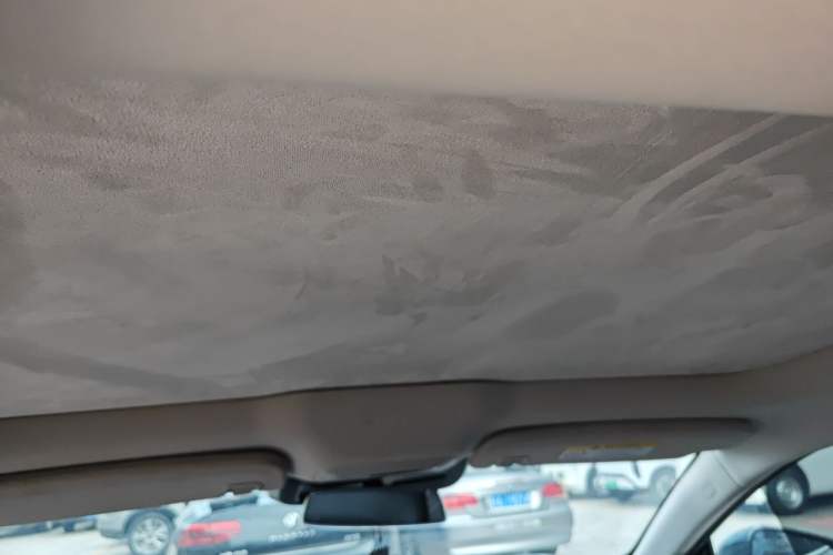 Used XPeng P7 2022 625E Headliner