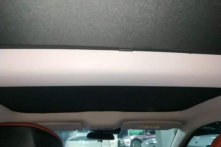 Used XPeng P7 2022 586G Headliner