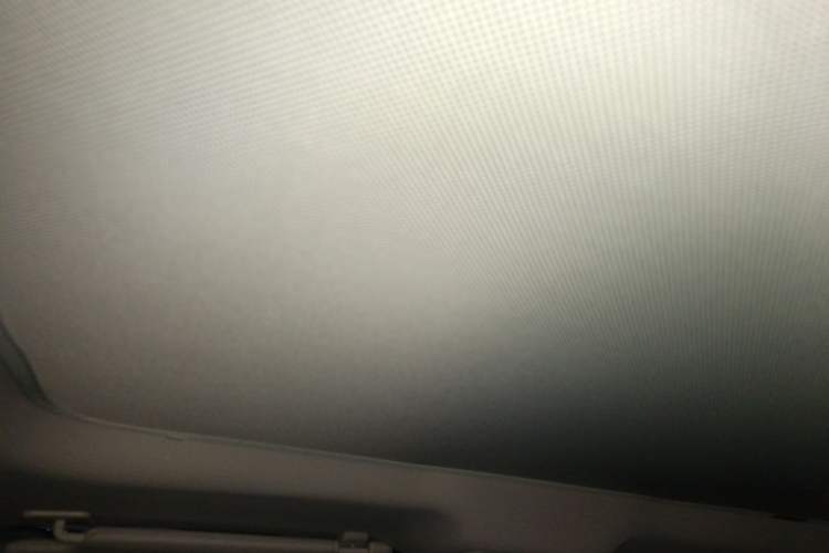 Used XPeng P7 2022 480E Headliner