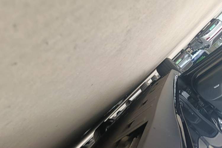 Used XPeng P7 2022 480E Left Side Sill