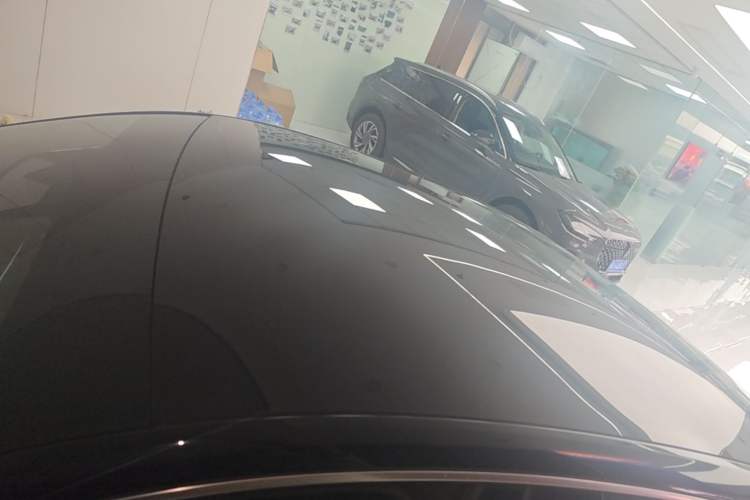 Used XPeng P7 2022 625E Roof