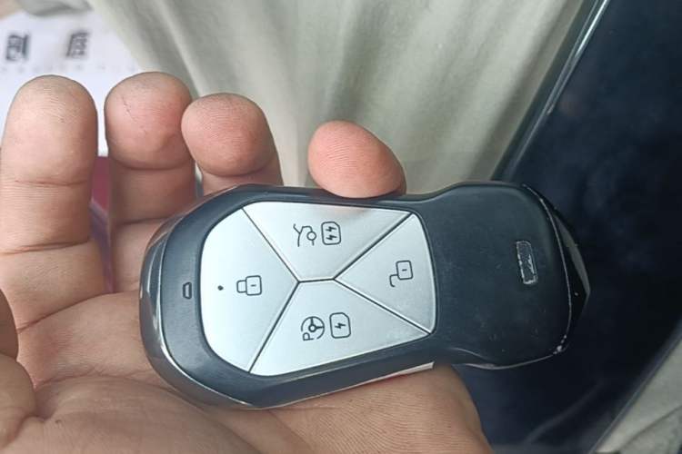 Used XPeng P7 2022 480E Vehicle Key