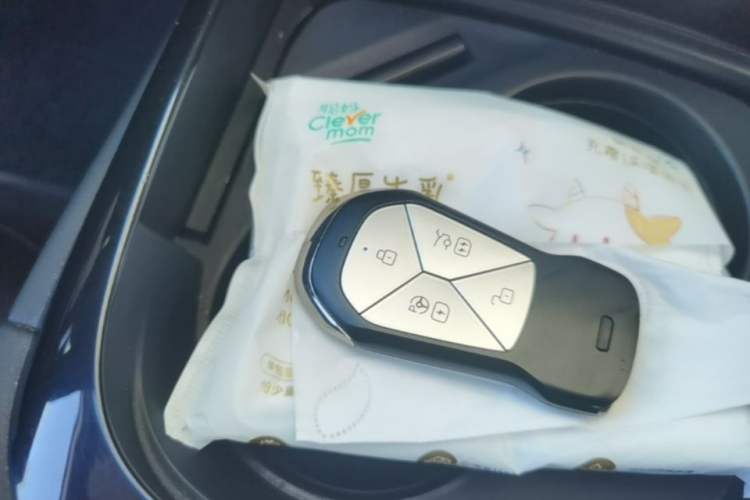 Used XPeng P7 2022 625E Vehicle Key