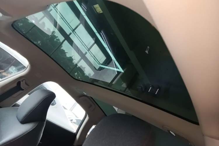 Used XPeng P7 2022 586G Headliner